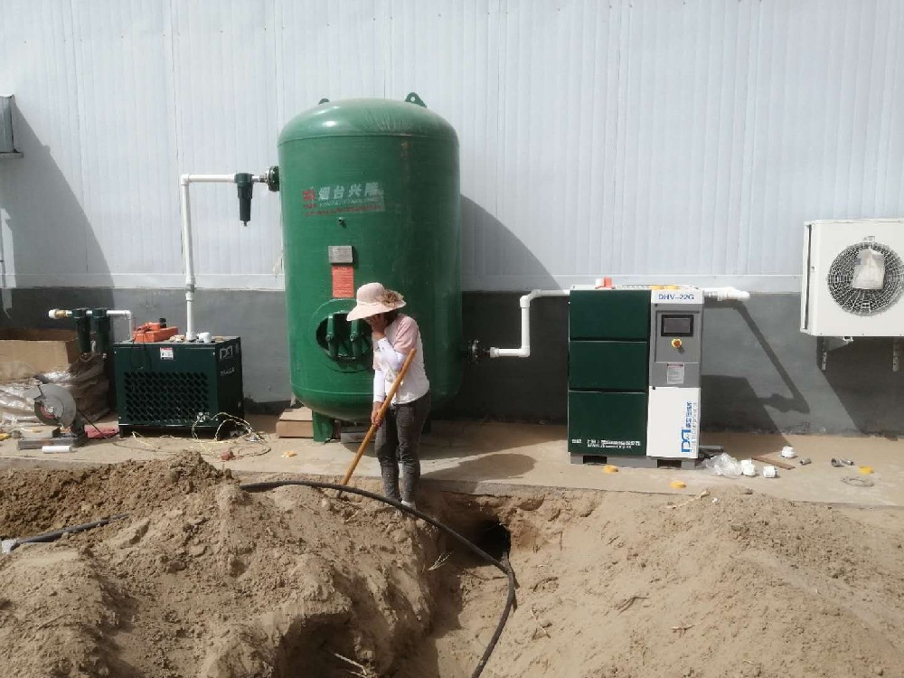 新疆某生物制藥科技公司采購德蒙油冷永磁變頻22KW固定螺桿機案例